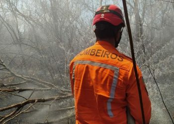 Governo do Piauí lança plano para prevenção e controle de incêndios