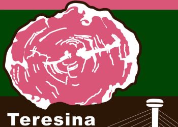 UFPI sedia Encontro Regional de Paleontologia em dezembro