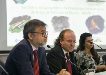 ICMBio lança plataforma com dados sobre espécies ameaçadas de extinção
