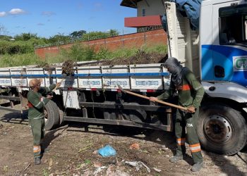 Mais de R$ 1 milhão foram investidos em limpeza pública na zona Sudeste