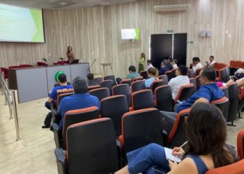 Sesapi abre XVIII Campanha Estadual de Doação de Órgãos e Tecidos