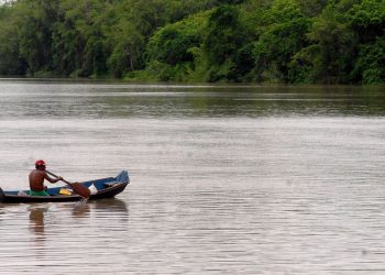 Amazônia legal receberá R$ 2 bilhões do Governo Federal