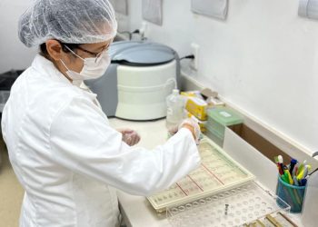 HGV realizou mais de 3 mil transfusões de sangue até outubro