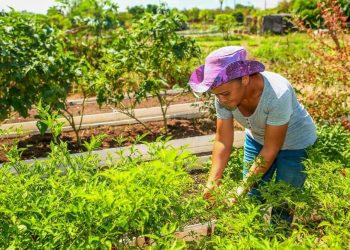 Senado autoriza empréstimos de US$ 118 mi para segurança hídrica no Piauí