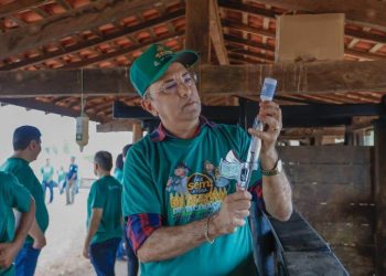 Sada e Adapi esperam vacinar 95% do rebanho piauiense contra aftosa