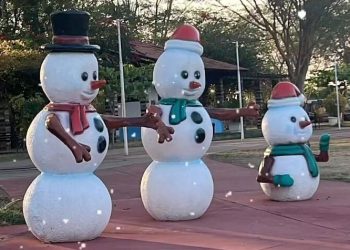 Parque da Cidadania terá máquina de neve gratuita para as crianças