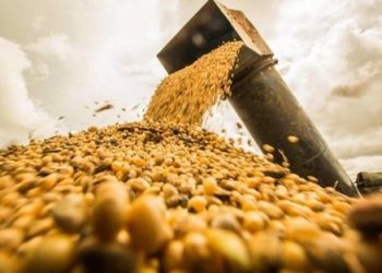 Exportações do Piauí alcançam a marca de R$ 6,8 bilhões no mês de outubro