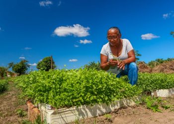 Rafael libera crédito de R$ 600 milhões para agricultura familiar
