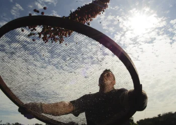Rota do Café vira monumento Nacional