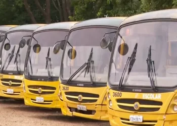 Bandidos roubam peças de transporte escolar