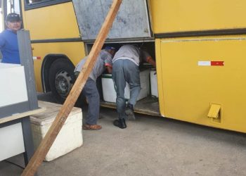 Adapi e PRF aprendem 600 kg de carne de carangueijo sem inspeção sanitária