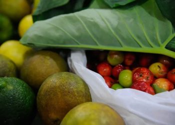 Lula sanciona com vetos Projeto de Lei dos Agrotóxicos