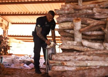 Denarc apreende quase meia tonelada de drogas no Piauí em 2023
