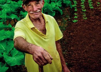 Aumentado prazo para recadastrar irrigantes excluídos do desconto de energia