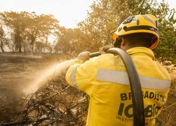 Mais de 17,3 milhões de hectares foram queimados em 2023 no país