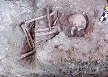 Construtora encontra ossadas e peças arqueológicas em obra no Maranhão