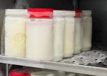 Banco de Leite Humano da Nova Maternidade Dona Evangelina Rosa precisa de doação