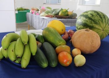 Semec faz chamada pública para alimentação escolar oriunda da agricultura familiar