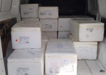 Adapi e Sefaz apreendem veículo com uma tonelada de camarão na BR 316 em Teresina