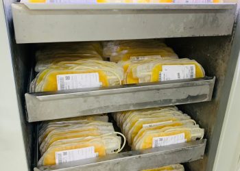 Hemopi é qualificado para fornecer plasma à Hemobrás