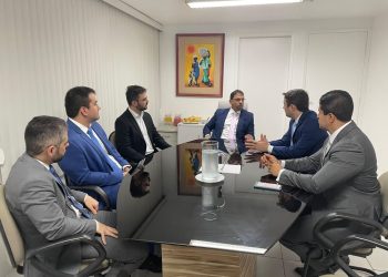 PGE e equipe de Rondônia dialogam sobre ferramenta de gestão eletrônica de documentos