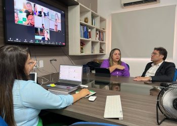 Sesapi apresenta o Programa Piauí Saúde Digital para Cosems e municípios