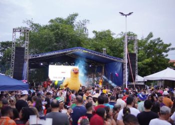 Carnaval de Teresina 2024: Prefeitura promove festa diversificada em toda a cidade