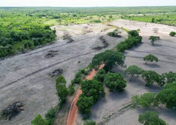 Fiscalização da Semarh identifica 36 alertas de desmatamento no norte do Piauí