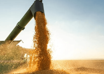 Balança comercial do Piauí tem superávit de R$ 294 milhões em janeiro