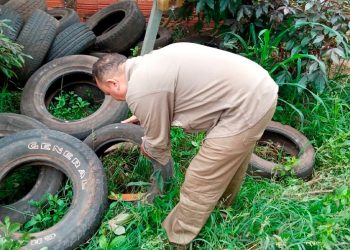 Timon: 80% dos focos de proliferação do mosquito da dengue estão nas residências