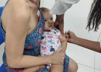 Campanha de vacinação contra a gripe começa segunda-feira (25)