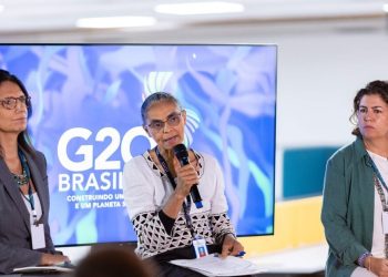 Brasil lidera coalizão por fundo global para a proteção florestal