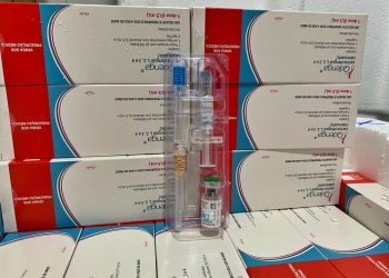 Piauí recebe primeiras doses da vacina contra a dengue