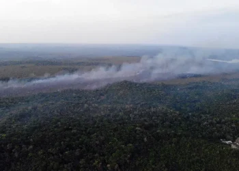 Calendário define áreas em emergência ambiental por incêndio florestal