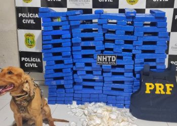 Ação conjunta da PRF e PCCE resulta na apreensão de 150 kg de maconha
