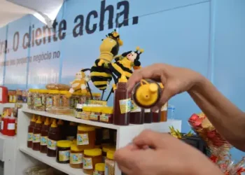 Desenrola para MEI e micro e pequenas empresas começa nesta segunda