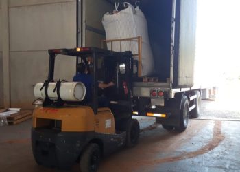 Fiscalização detém 390 toneladas de amendoim orgânico com potencial cancerígeno