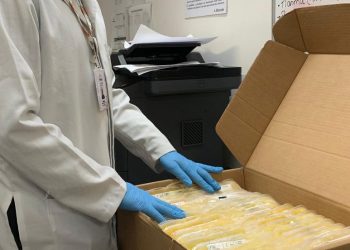 Hemopi já enviou 10 mil unidades de plasma excedente para a fabricação de medicamentos