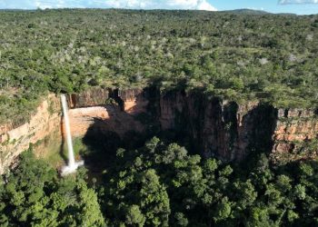 ICMBio cria novas reservas e planos de proteção a caatinga e espécies ameaçadas