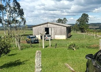Motorista é preso transportando 256 Kg de maconha