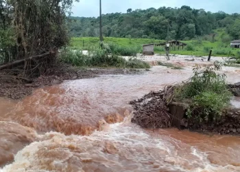 Recuperar vegetação degradada no RS ajuda a prevenir tragédias
