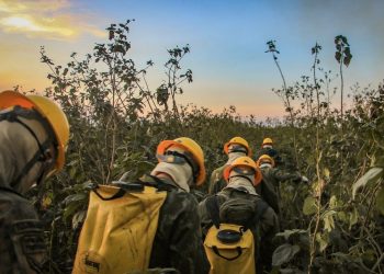 Com apoio das Forças Armadas, Governo reforça combate às queimadas no Pantanal