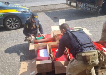 PRF apreende 300 kg de Maconha, em carroceria de caminhão, na BR 267 em Juiz de Fora (MG)