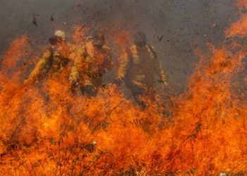 Senado aprova política de manejo do fogo no país