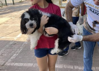 Teresina ultrapassa a meta de vacinação contra a raiva