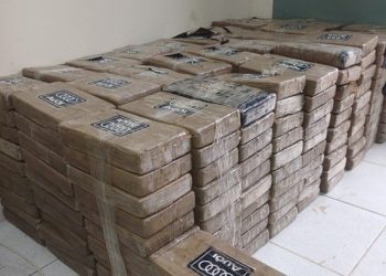 Cerca de 1 tonelada de drogas é apreendida em Sapucaia-RJ