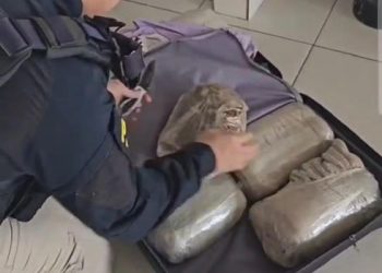 Passageira é presa com mais de 13 quilos de skunk em ônibus