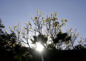 Começa hoje Semana Nacional de Ciência e Tecnologia