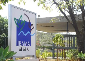 Ibama abre incrições para concurso com 460 vagas; salário inicial é de R$ 9,9 mil