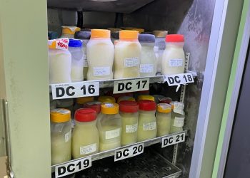 Banco de Leite da Nova Maternidade Dona Evangelina Rosa precisa de doação